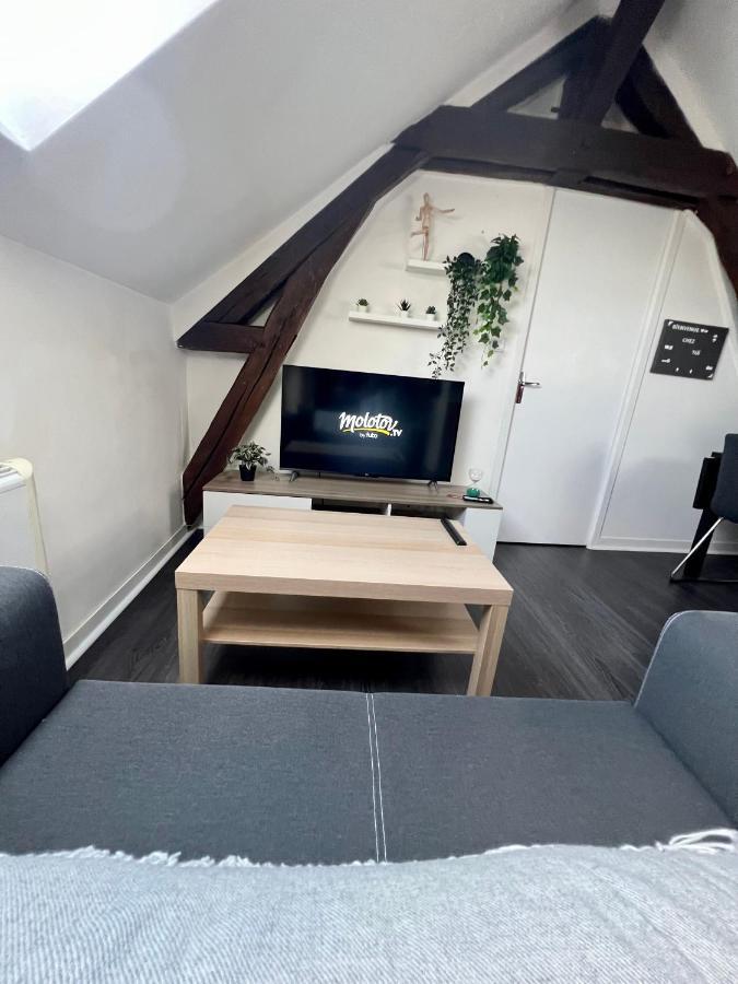 Bel Appartement Lumineux 35M2, Bord De Loire Saint-Jean-le-Blanc Exteriör bild