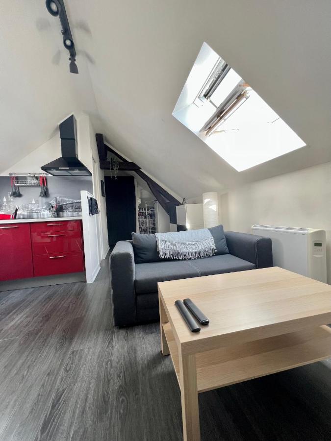 Bel Appartement Lumineux 35M2, Bord De Loire Saint-Jean-le-Blanc Exteriör bild