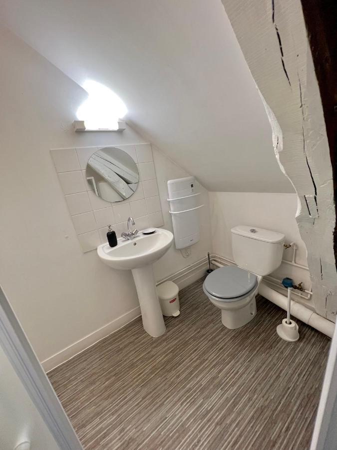 Bel Appartement Lumineux 35M2, Bord De Loire Saint-Jean-le-Blanc Exteriör bild