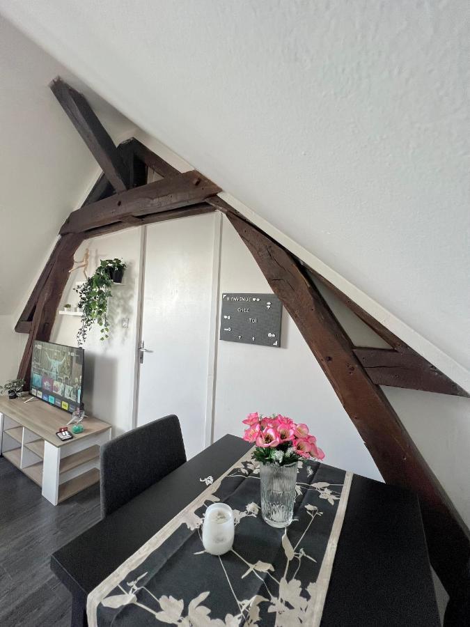 Bel Appartement Lumineux 35M2, Bord De Loire Saint-Jean-le-Blanc Exteriör bild