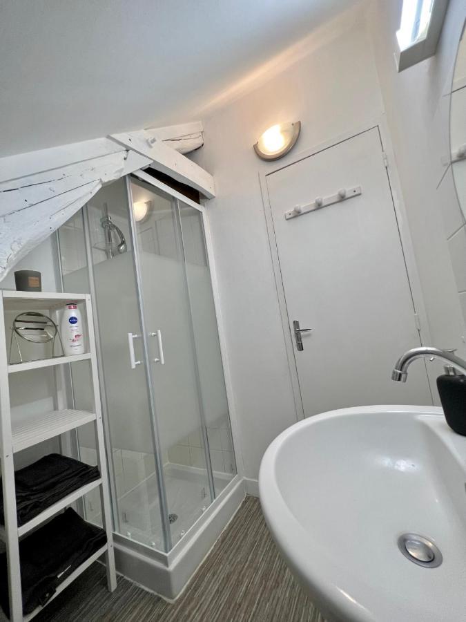 Bel Appartement Lumineux 35M2, Bord De Loire Saint-Jean-le-Blanc Exteriör bild