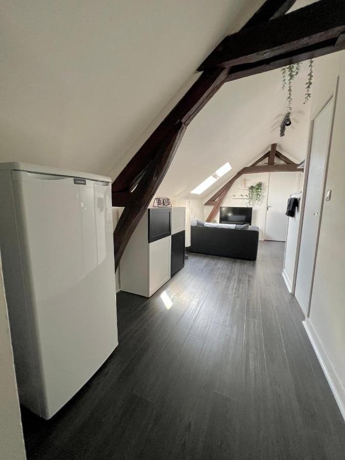 Bel Appartement Lumineux 35M2, Bord De Loire Saint-Jean-le-Blanc Exteriör bild