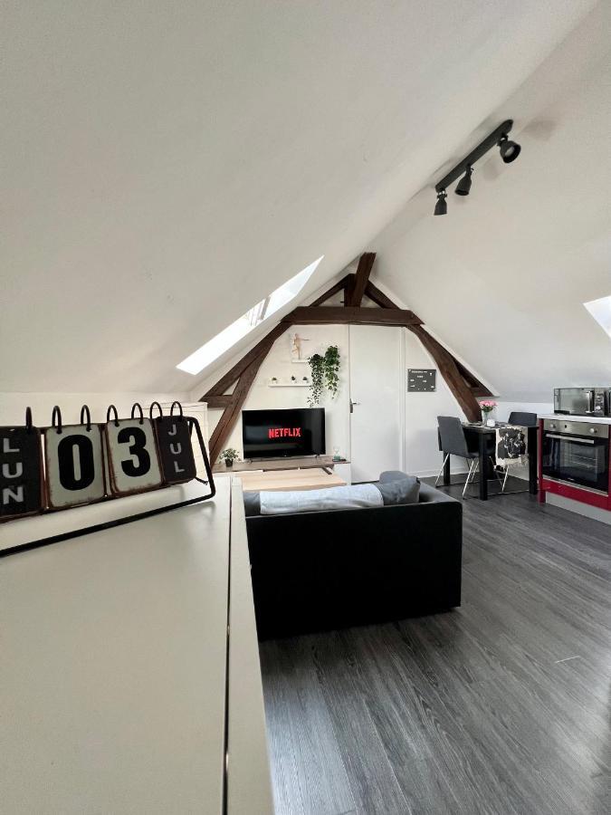 Bel Appartement Lumineux 35M2, Bord De Loire Saint-Jean-le-Blanc Exteriör bild